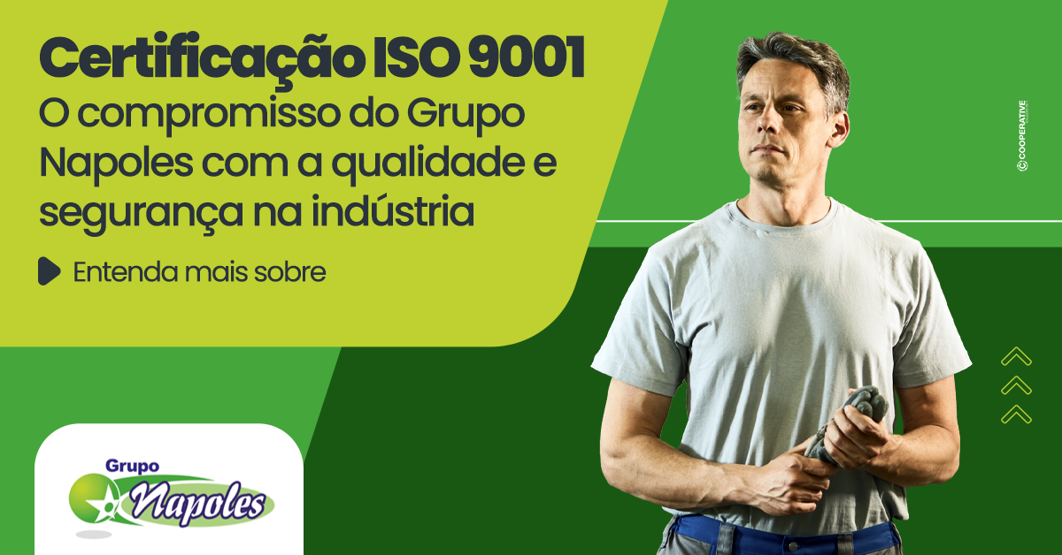 Certificação Iso 9001 O Compromisso Do Grupo Napoles Com A Qualidade E